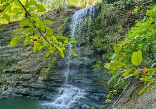 A serene waterfall cascading over rocky cliffs, surrounded by lush green foliage and small red berries.