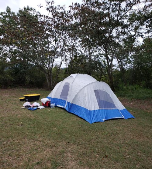 A blue and white tent set up on grass, surrounded by trees, with camping gear and a cooler nearby.