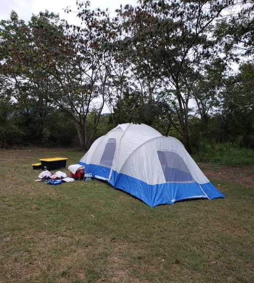 A blue and white tent set up on grass, surrounded by trees, with camping gear and a cooler nearby.