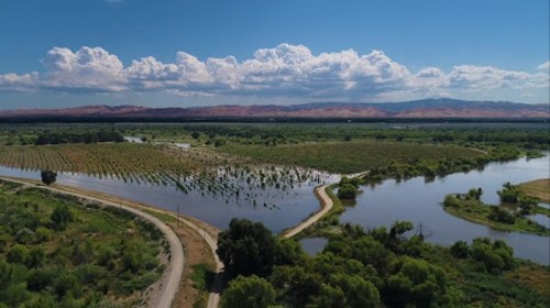 Aerial view of lush green fields and a winding river under a blue sky with fluffy clouds and distant mountains.