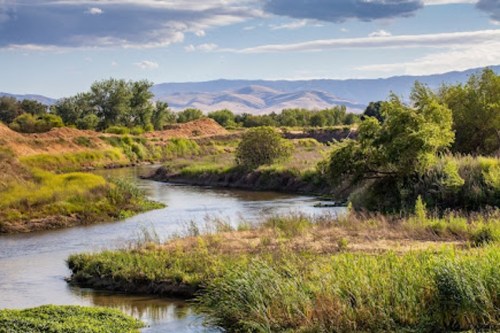 A serene river flows through lush greenery, with mountains in the background under a partly cloudy sky.