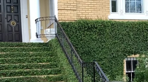 A brick house with a black door and a lush green ivy-covered staircase leading to the entrance.