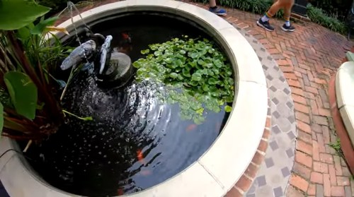 A circular pond with koi fish and lily pads, surrounded by brick pathways and greenery.
