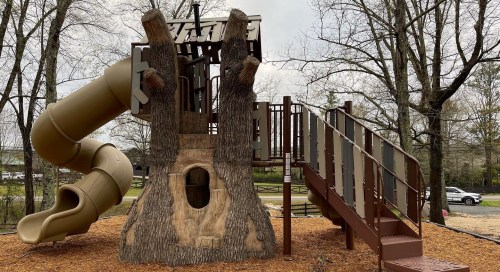 A playground structure resembling a tree with a slide and stairs, surrounded by mulch and trees in the background.