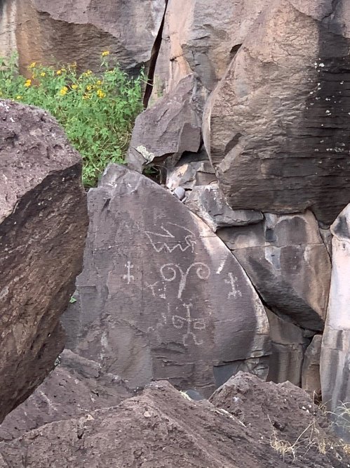 Petroglyphs carved into a large rock, surrounded by smaller stones and green vegetation.