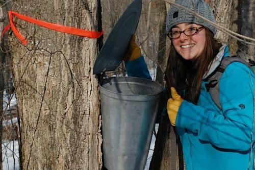 A smiling woman in a blue jacket and gray hat stands by a tree, showing a metal bucket for collecting sap.
