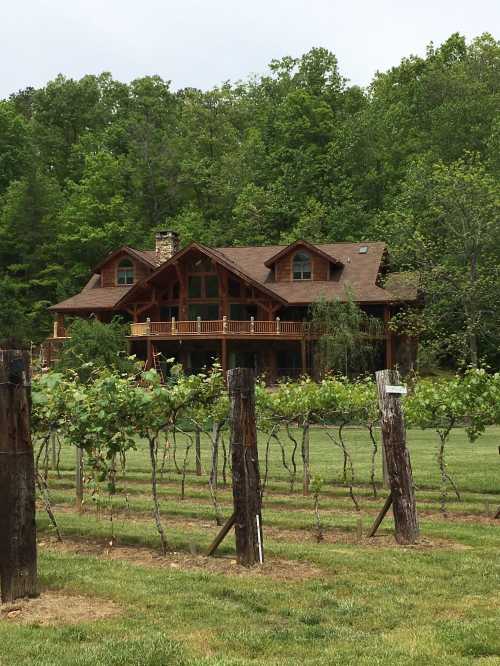 A rustic wooden house surrounded by lush greenery and a vineyard in the foreground.