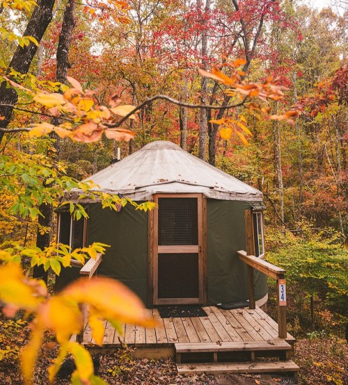 A cozy yurt nestled in a vibrant autumn forest, surrounded by colorful leaves and trees.
