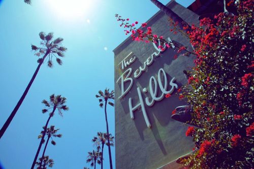 Sign for "The Beverly Hills" against a bright blue sky, surrounded by palm trees and vibrant flowers.