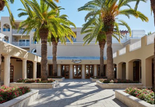 A sunny courtyard with palm trees, colorful flowers, and a building in the background, creating a tropical atmosphere.