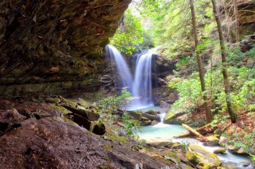 A serene waterfall cascades into a clear pool, surrounded by lush greenery and rocky terrain in a tranquil forest setting.