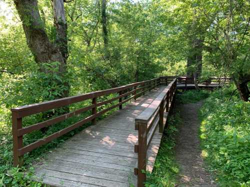 A wooden boardwalk winding through lush greenery in a peaceful natural setting.