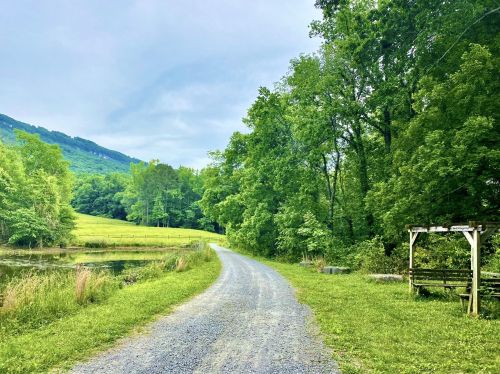 A gravel path winds through lush greenery alongside a calm pond, with mountains in the background under a cloudy sky.