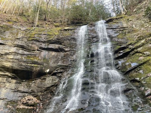 A serene waterfall cascading down a rocky cliff, surrounded by lush greenery and moss.