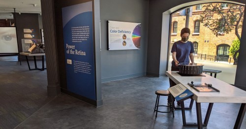 A person interacts with an exhibit about color deficiency in a modern museum space with informative displays.