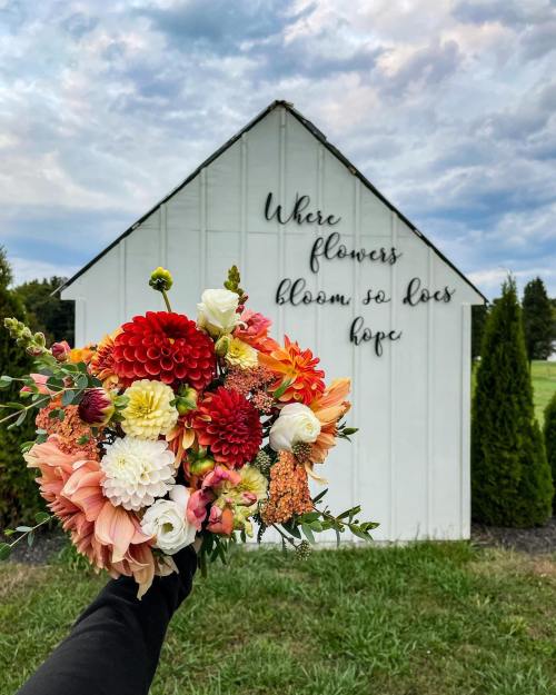 A hand holds a vibrant bouquet of flowers in front of a white shed with the words "Where flowers bloom so does hope."