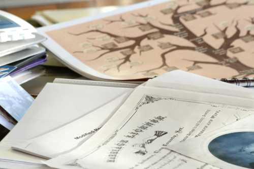 A cluttered desk with various papers, including a family tree chart and documents, scattered across the surface.