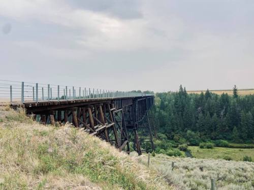 A weathered wooden bridge extends over a lush green landscape, surrounded by trees under a cloudy sky.