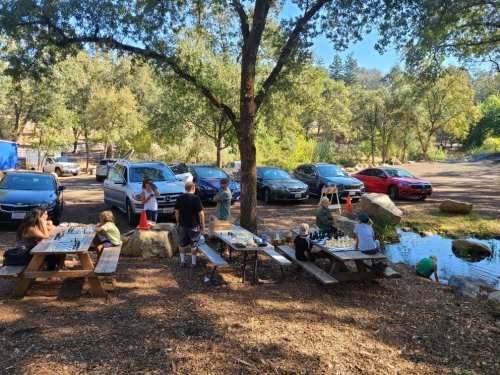 People playing chess at picnic tables near a pond, surrounded by trees and parked cars in a sunny outdoor setting.
