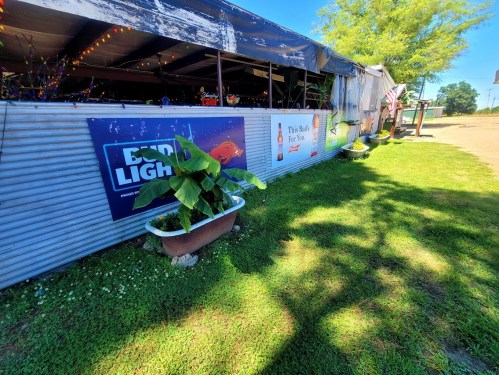 A grassy area beside a corrugated metal building with a Bud Light sign and decorative plants.