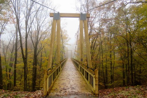 A wooden suspension bridge stretches into a foggy forest, surrounded by autumn-colored trees.