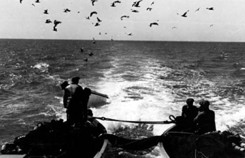 A black and white image of a boat on the ocean, with people on board and birds flying overhead.
