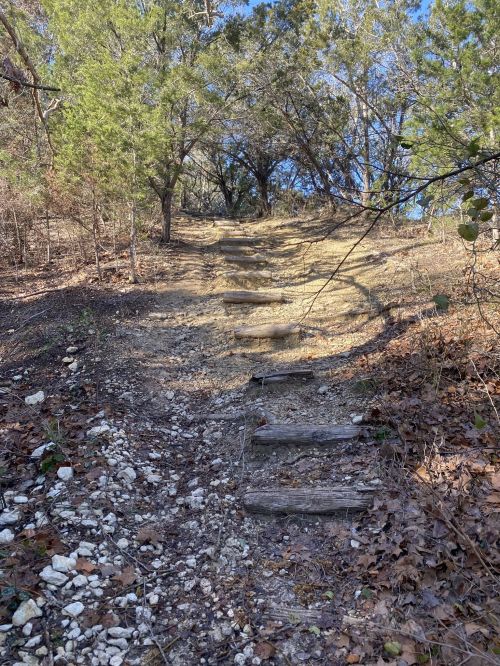 A dirt path with wooden steps leads up through a wooded area, surrounded by trees and scattered leaves.
