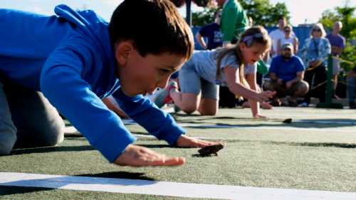 Children crouch on a green surface, racing small toads during a fun outdoor event.