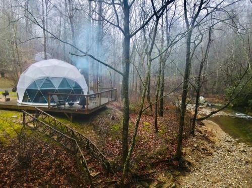 A geodesic dome on a wooden deck by a river, surrounded by bare trees in a misty forest setting.