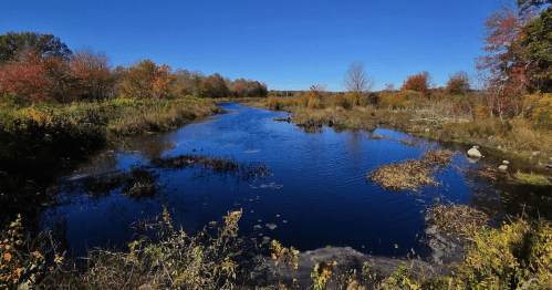A serene wetland scene with autumn foliage, a calm water surface reflecting clouds, and distant trees under a blue sky.