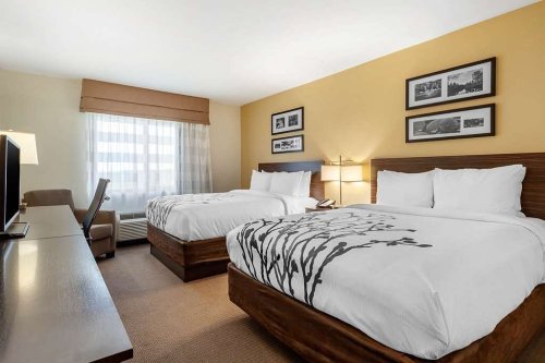A hotel room featuring two queen beds, a desk, and a window with sheer curtains, decorated with framed photos.