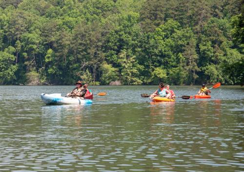 Four people kayaking on a calm lake surrounded by lush green trees.