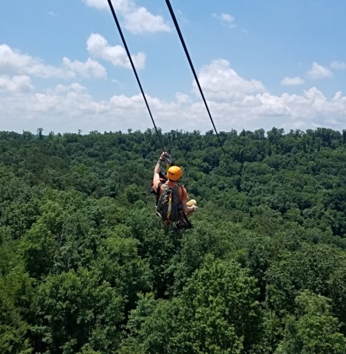 A person zip-lining over a lush green forest under a clear blue sky.