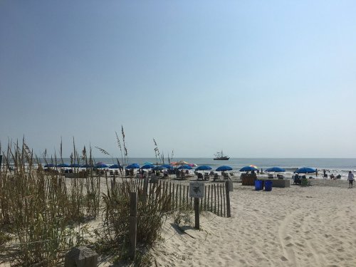 A sunny beach scene with colorful umbrellas, sandy shore, and gentle waves in the background.