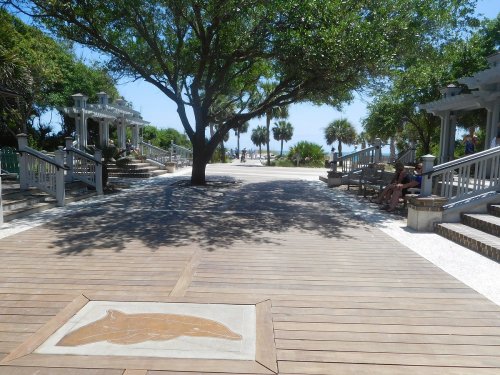 A sunny boardwalk lined with trees and palm trees, leading to a beach in the distance. A dolphin design is on the ground.