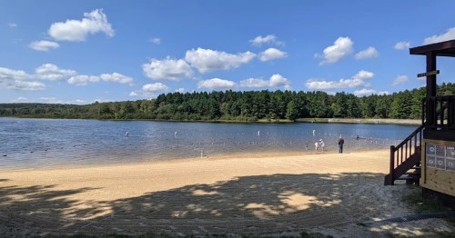 A sandy beach by a calm lake, with people swimming and trees in the background under a blue sky with fluffy clouds.