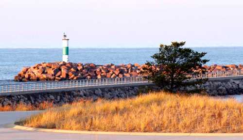 A coastal scene featuring a lighthouse on a rocky jetty, with a grassy area in the foreground and calm waters in the background.