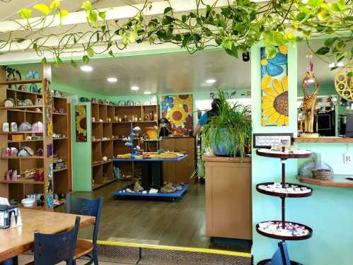 A cozy shop interior with colorful decor, shelves of items, and plants hanging from the ceiling.