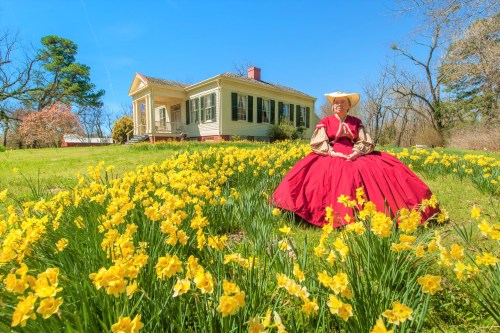 A woman in a red dress sits among yellow daffodils in front of a historic house on a sunny day.