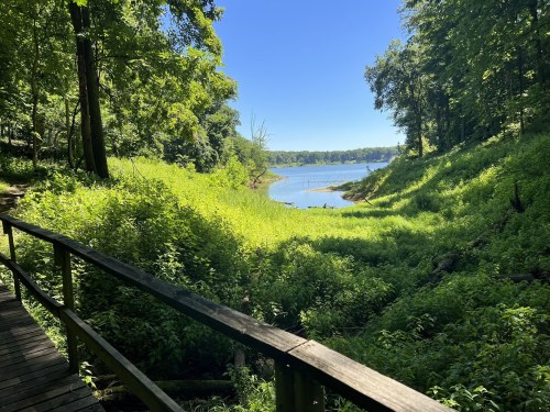 A serene view of a lake surrounded by lush greenery and trees under a clear blue sky. A wooden path leads into the scene.