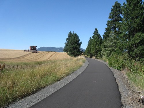 A paved path alongside a wheat field, with a combine harvester in the distance and trees lining the area.