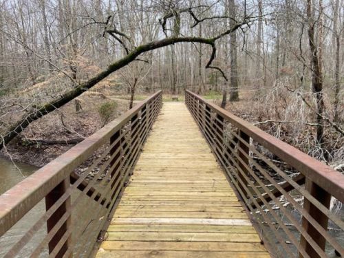 A wooden bridge spans a creek, surrounded by bare trees and a peaceful, wooded landscape.
