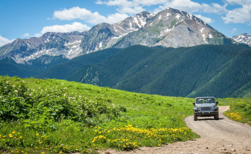 A Jeep drives along a dirt road surrounded by vibrant wildflowers and majestic mountains under a blue sky.