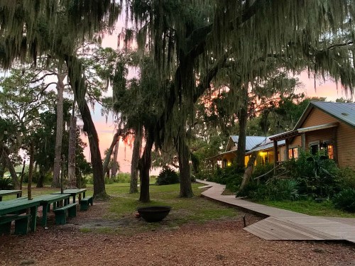 A serene outdoor scene with a wooden path, rustic buildings, and trees draped in Spanish moss at sunset.
