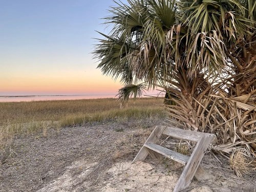 A wooden bench beside a palm tree, overlooking a serene beach at sunset with soft pastel colors in the sky.