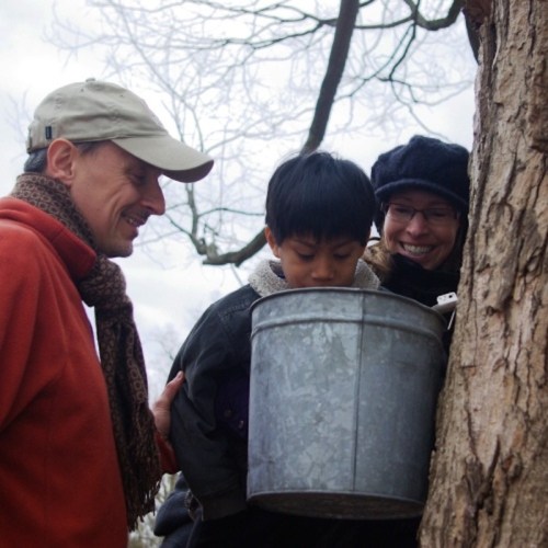 A man and woman watch a boy peering into a metal bucket hanging from a tree.