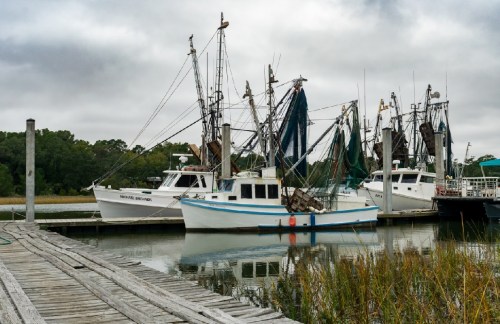 Fishing boats docked at a marina, surrounded by calm water and tall grasses under a cloudy sky.