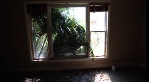 Sunlight filters through a dusty window, revealing overgrown plants outside and scattered debris on the floor.