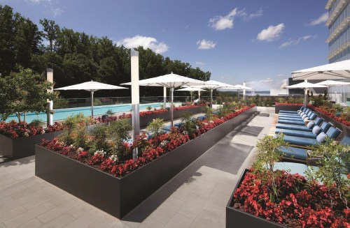 A modern poolside area with lounge chairs, umbrellas, and vibrant flower beds under a clear blue sky.