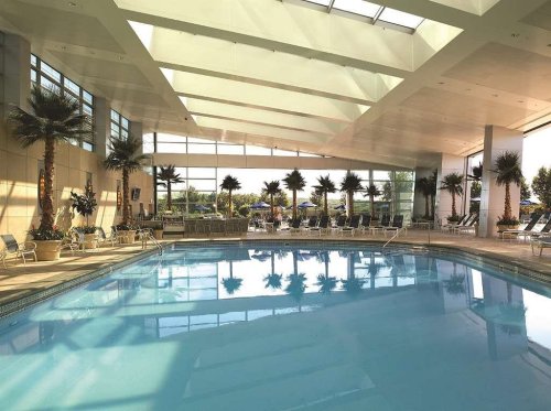 Indoor swimming pool with palm trees, lounge chairs, and large windows letting in natural light.